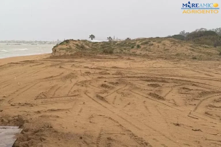 San Leone, sbancata una duna: La denuncia di Mareamico