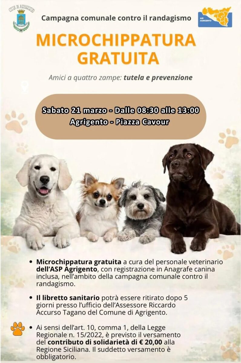 Lotta al randagismo, il Comune promuove la microchippatura gratuita dei cani Lotta al randagismo, il Comune promuove la microchippatura gratuita dei cani