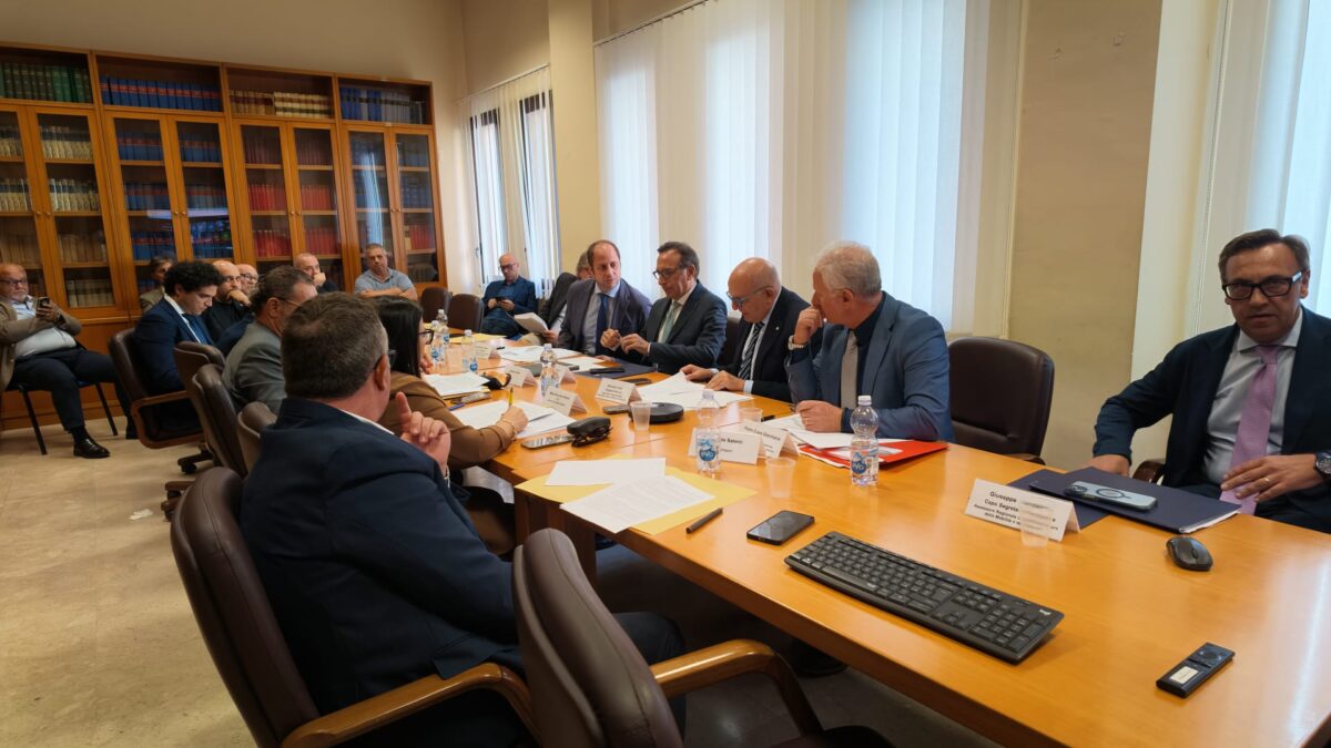 Caro carburanti, Aricò incontra gli autotrasportatori: «Contributi fino a 50 mila euro» Caro carburanti, Aricò incontra gli autotrasportatori: «Contributi fino a 50 mila euro»
